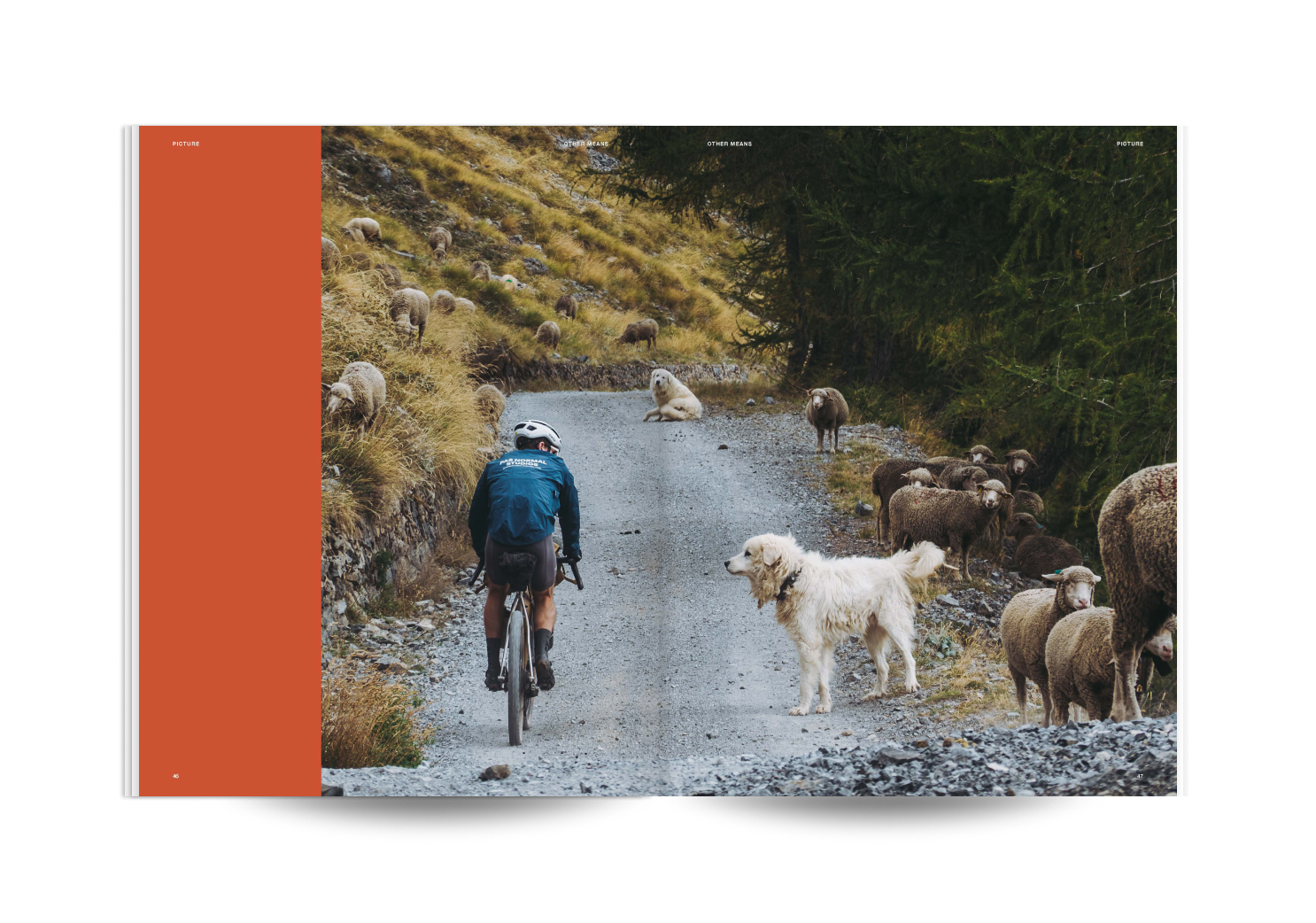 Volume One & Two Bundle